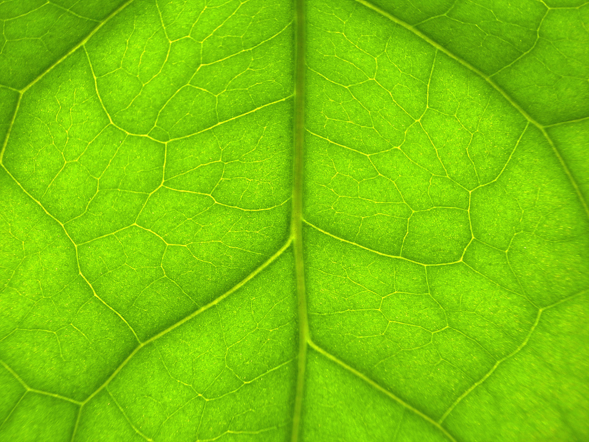 Une France écologique