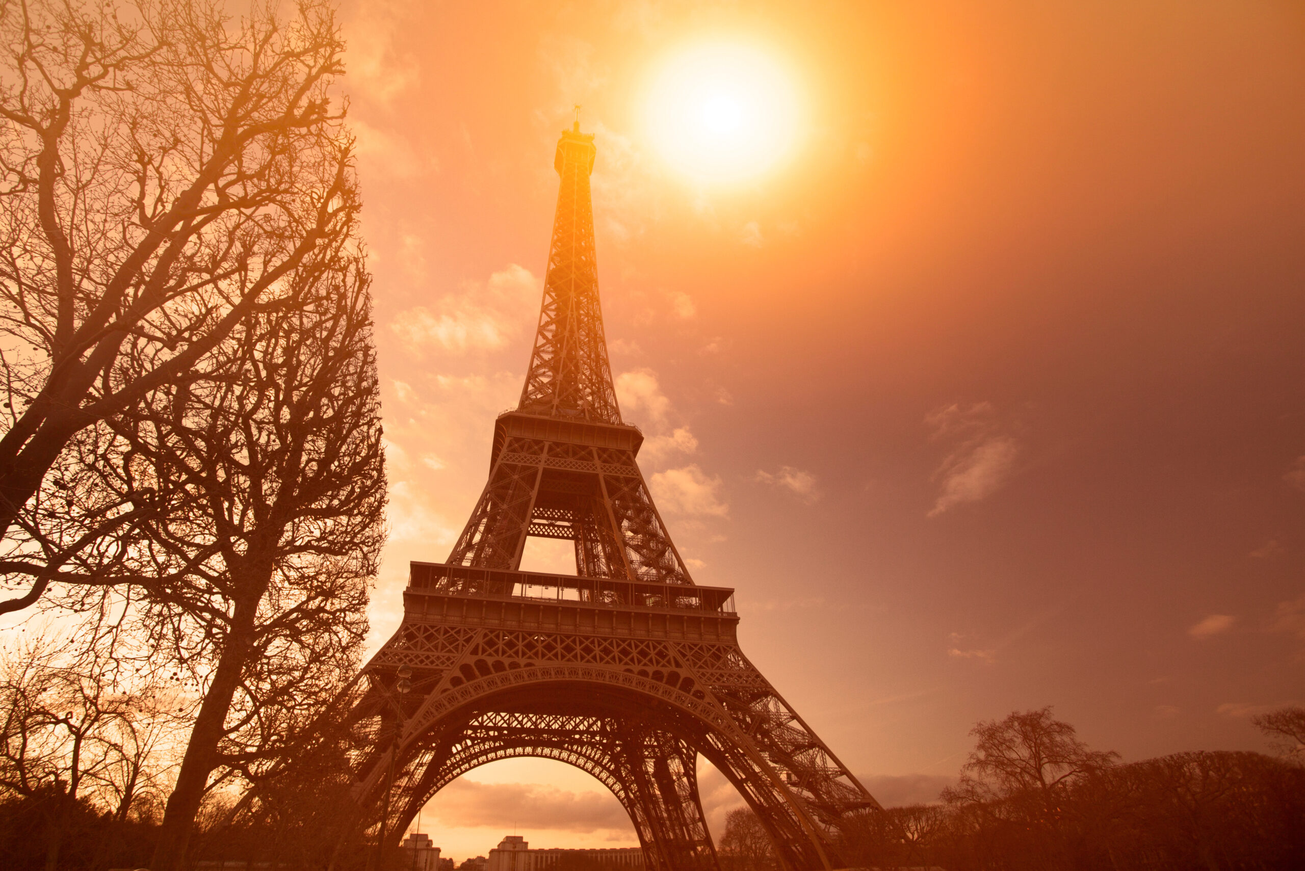 Bilan des événements climatiques de 2025 : une urgence toujours plus pressante