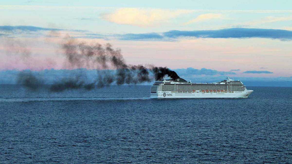 L'UDI fait voter un amendement sur la taxe de séjour des paquebots de croisière polluants