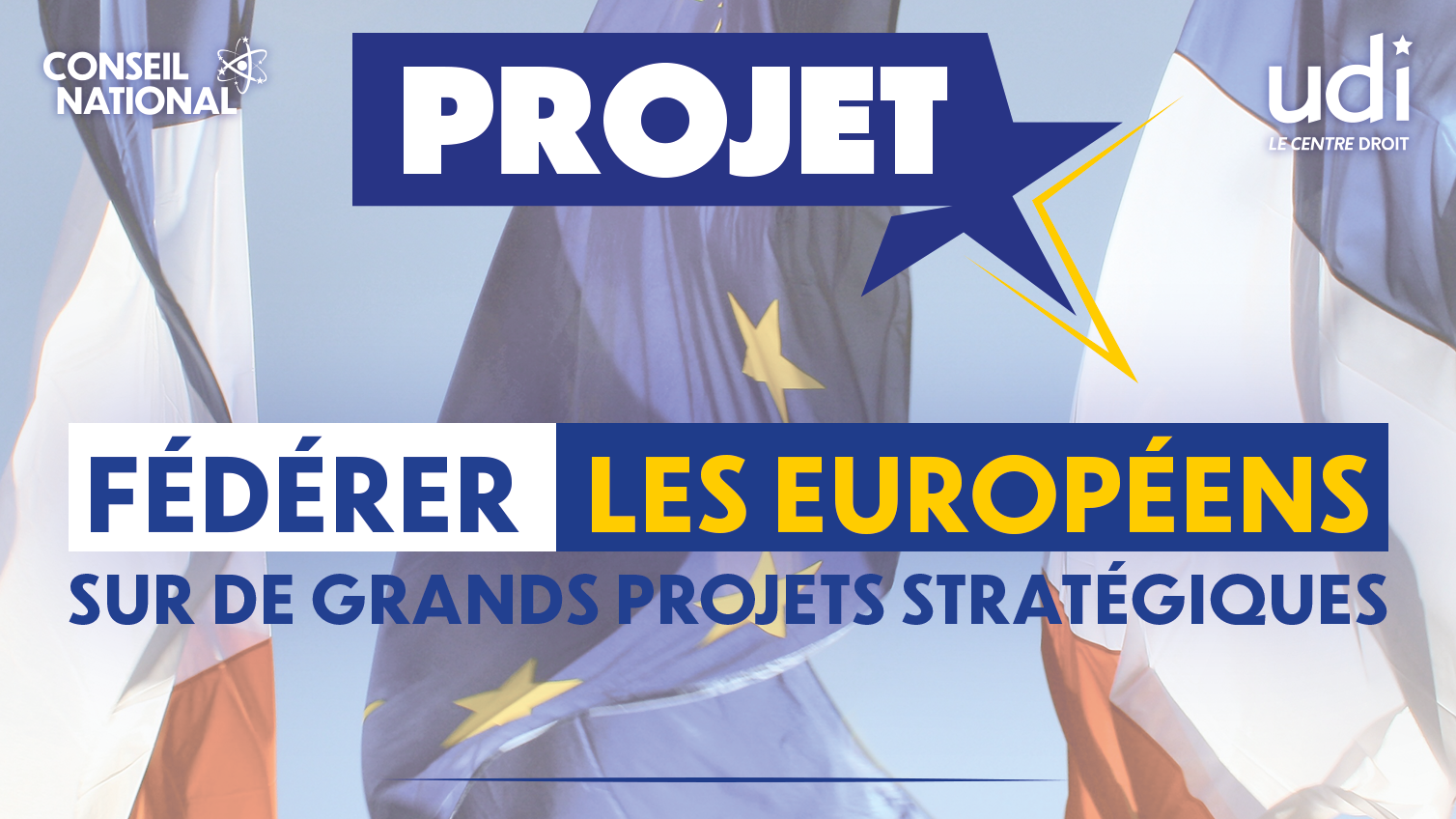 Projet de l'UDI pour les Européennes de juin 2024