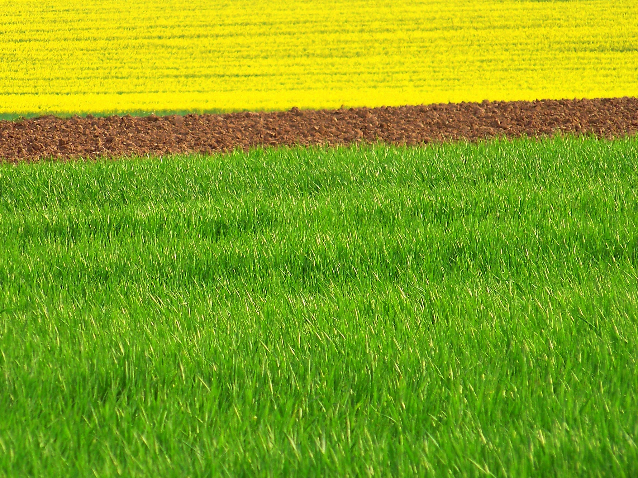Qui veut la peau de la ruralité ?