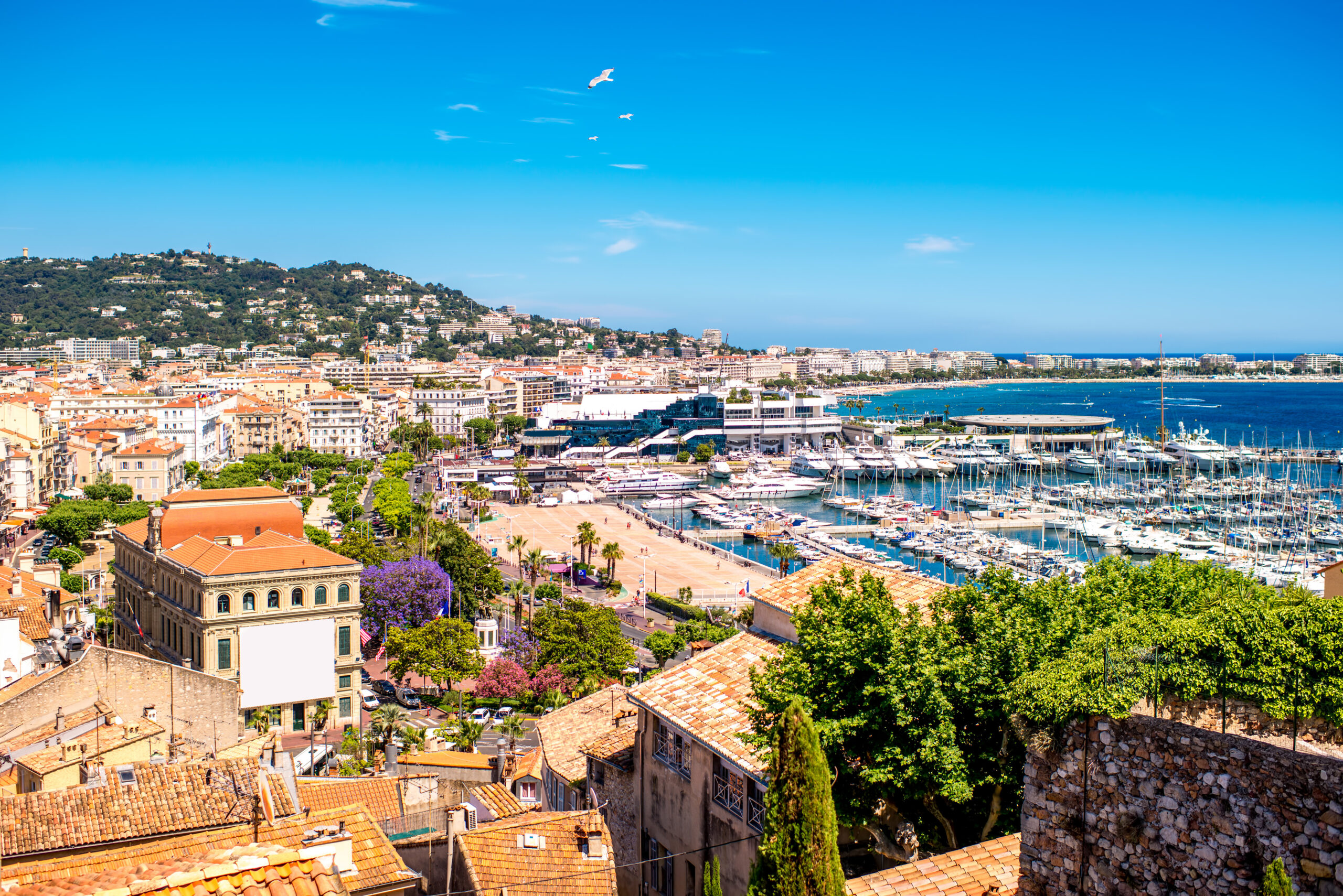 Le tourisme ne se décrète pas, il s’organise