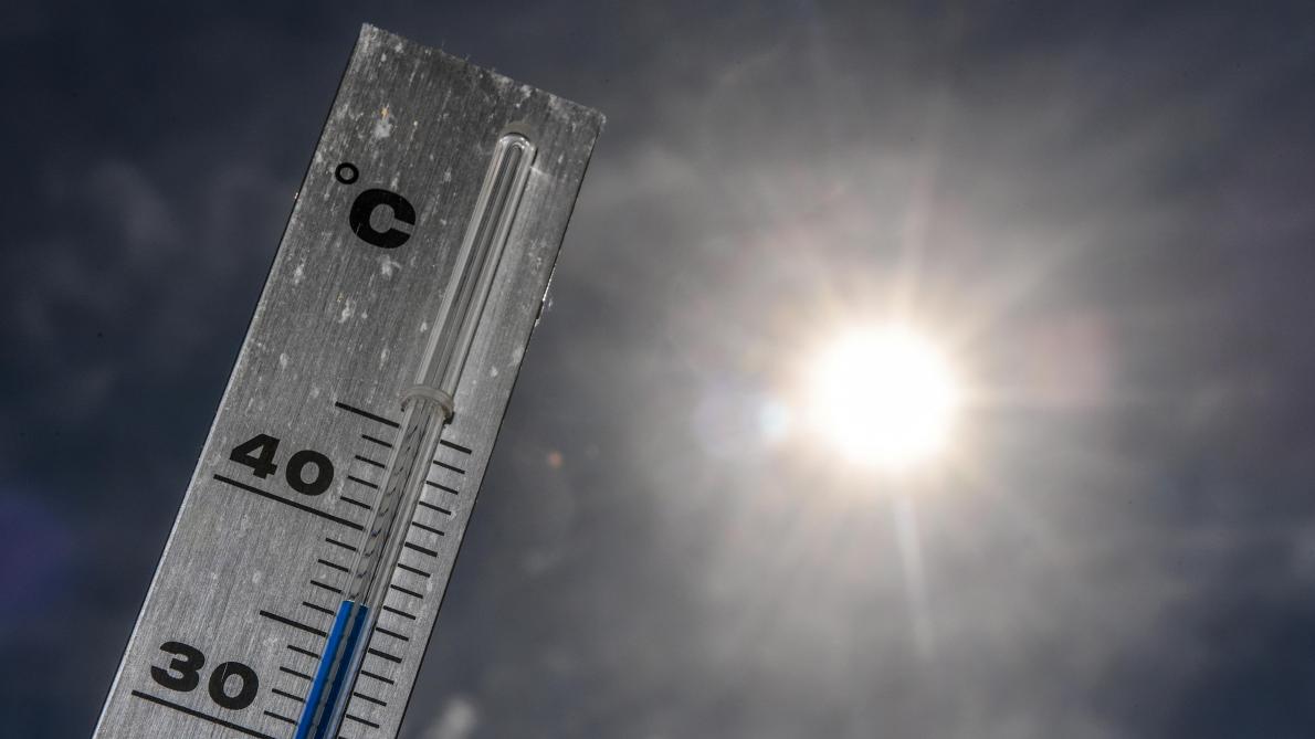 Communiqué de presse – L’urgence climatique doit être notre seule priorité environnementale