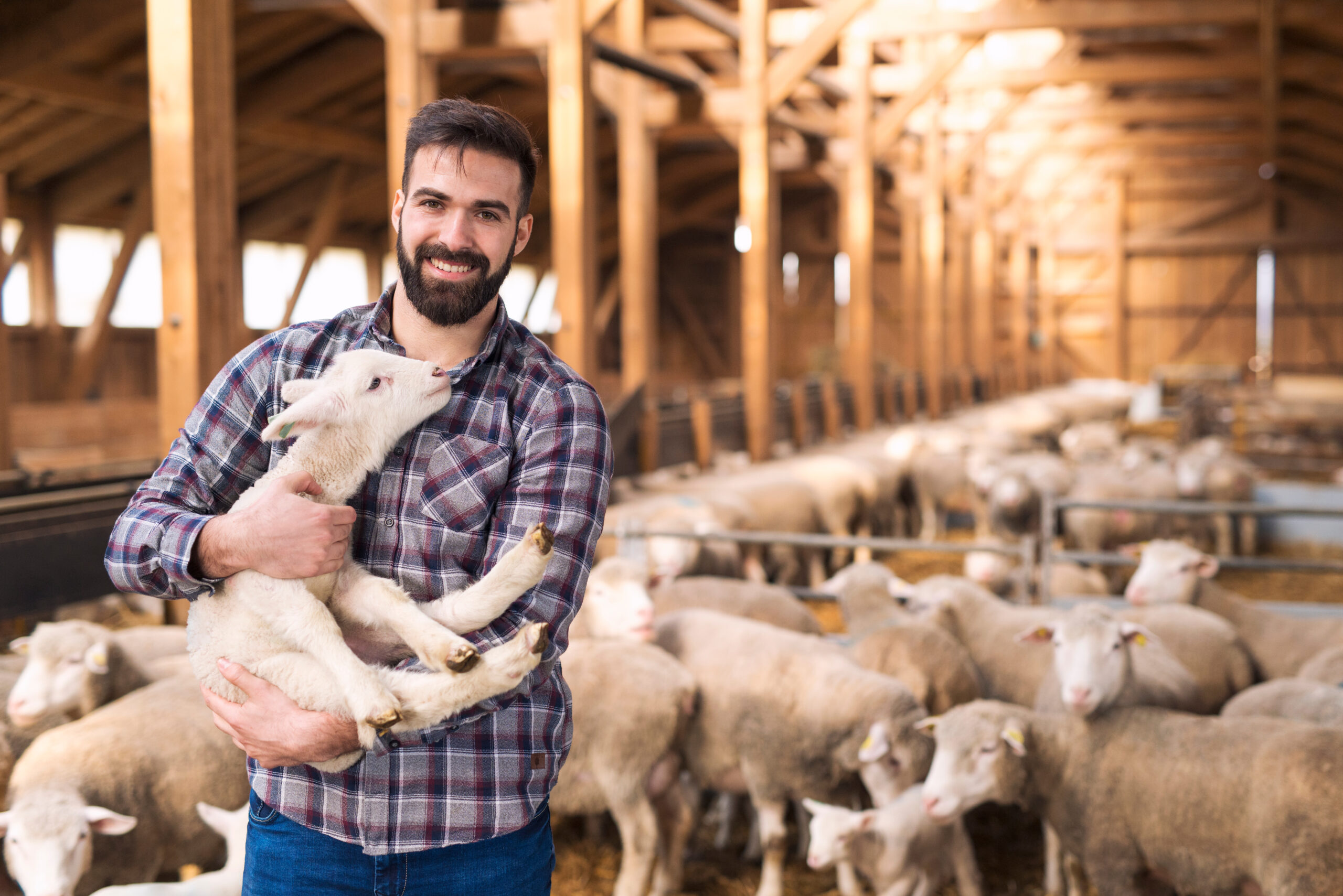 L’agriculture : un secteur pourtant si stratégique