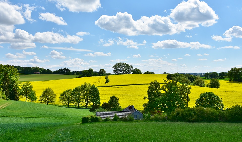 Agriculture : Jean-Christophe Lagarde avance ses propositions