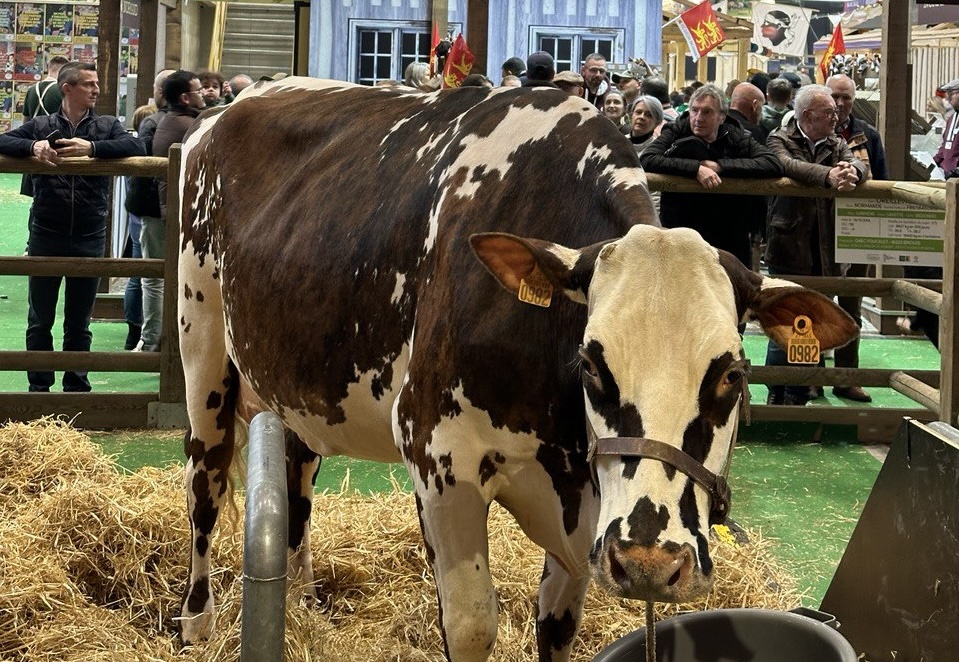 Les élu(e)s UDI au Salon International de l'Agriculture 2025