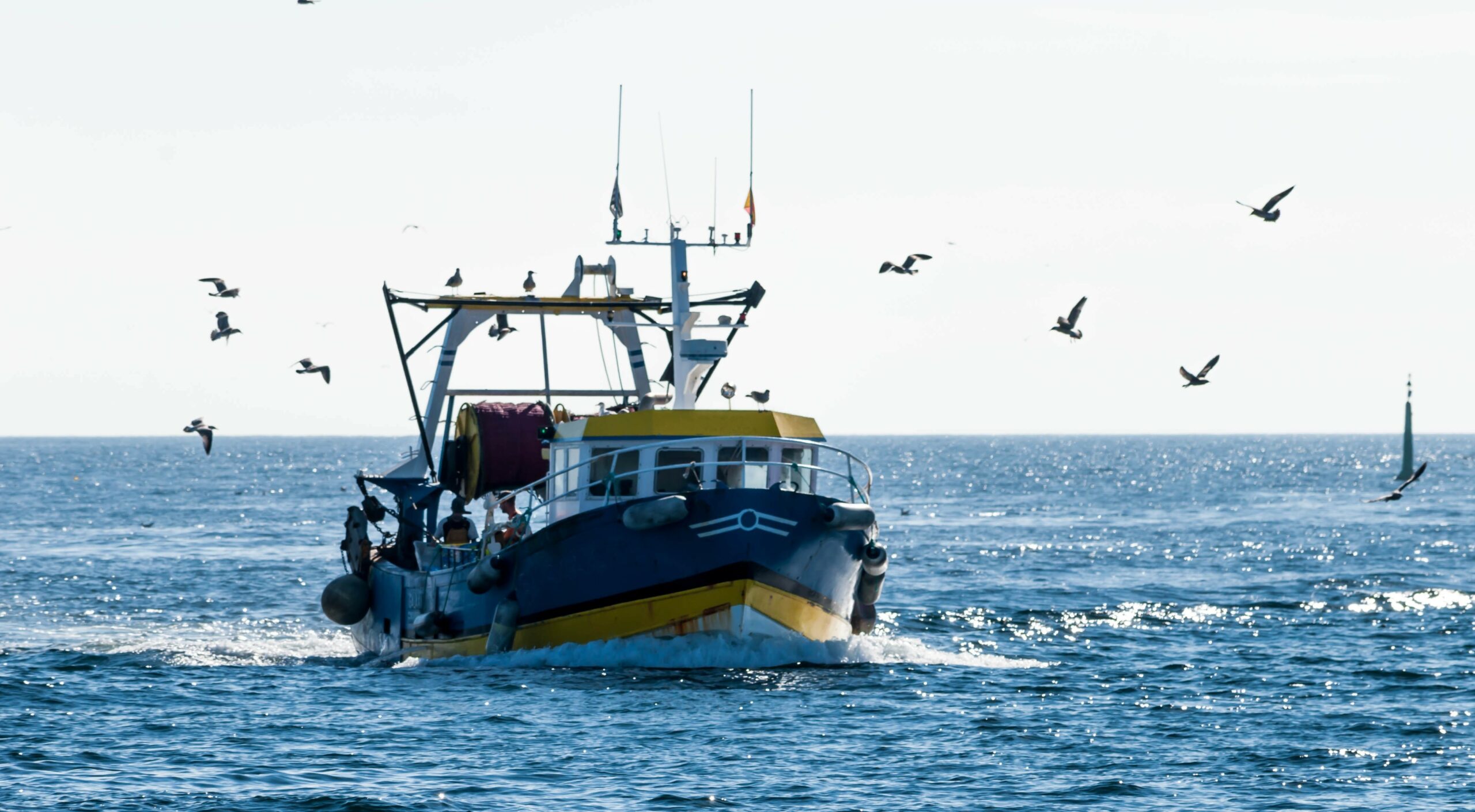 Renforcer la pêche française, un enjeu de souveraineté et d'avenir 