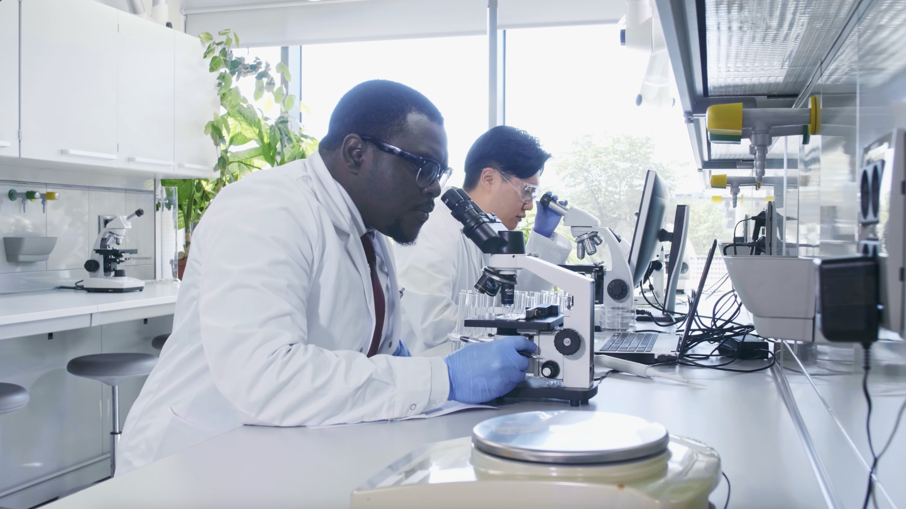 L’accueil des chercheurs américains en France : une opportunité à structurer durablement