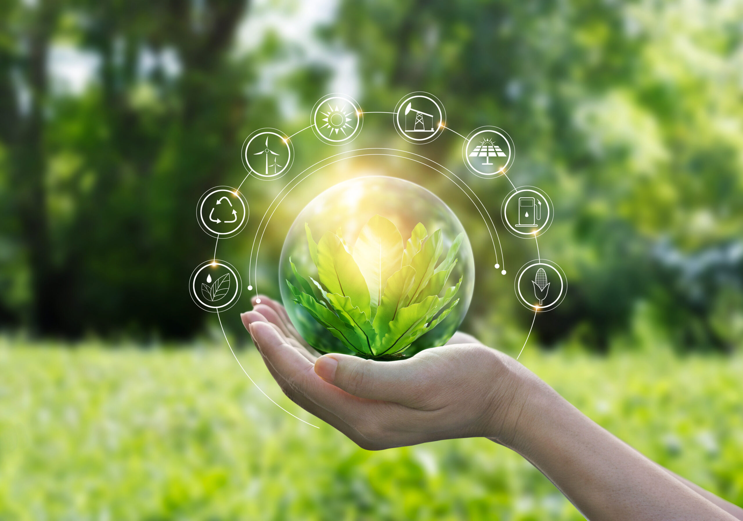 Jour de la Terre : l’écologie à l’impact local