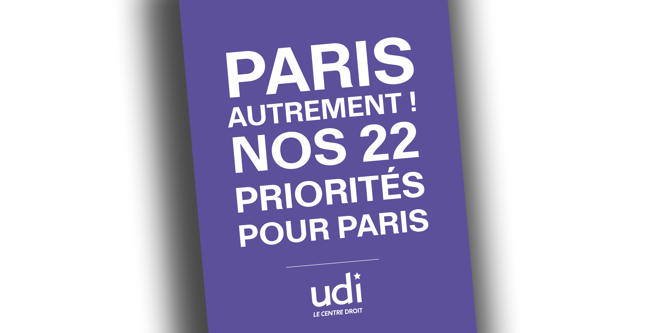 Le projet de l'UDI pour les municipales à Paris