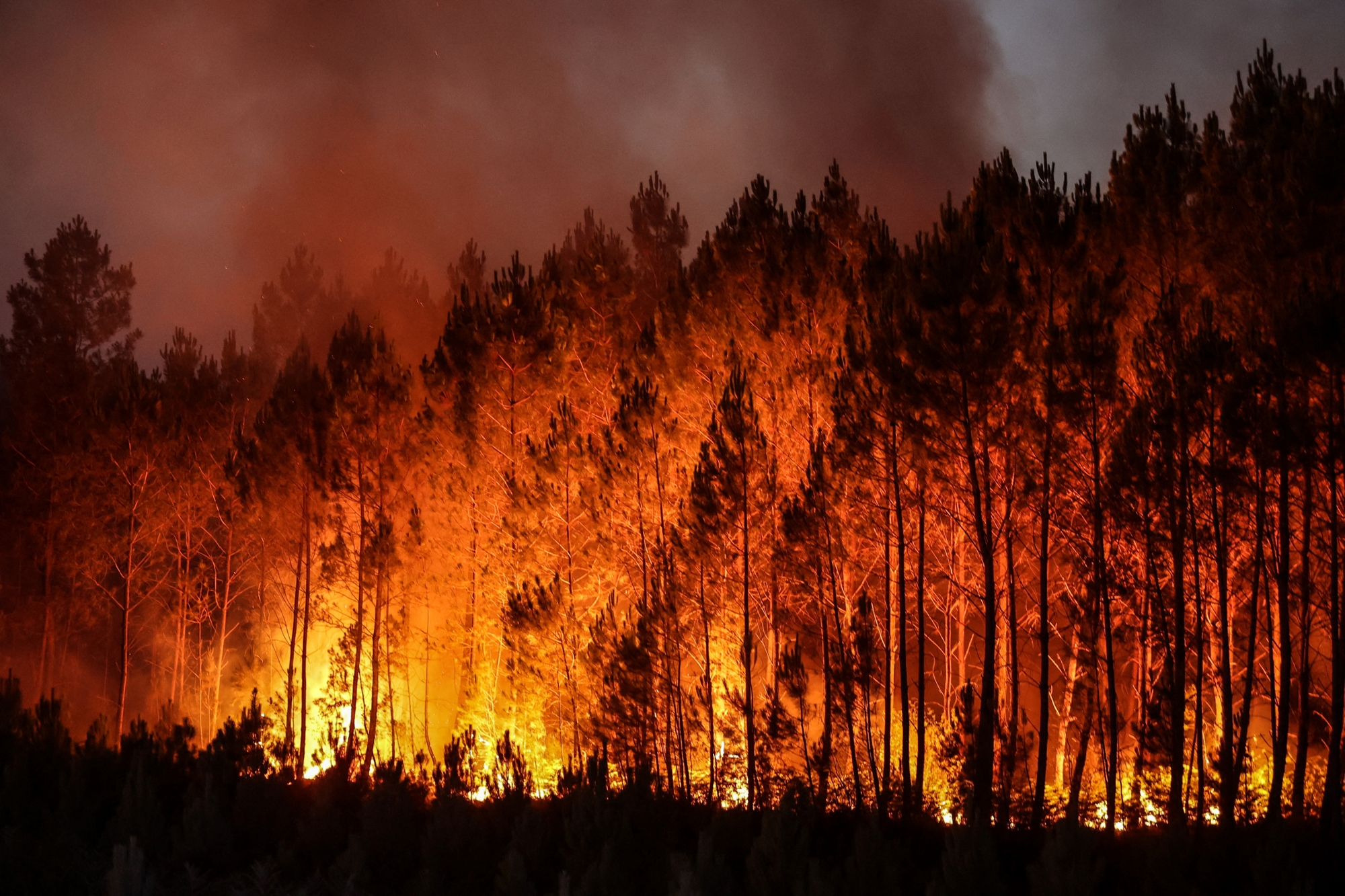 Dans les Bouches-du-Rhône, les incendies font rage