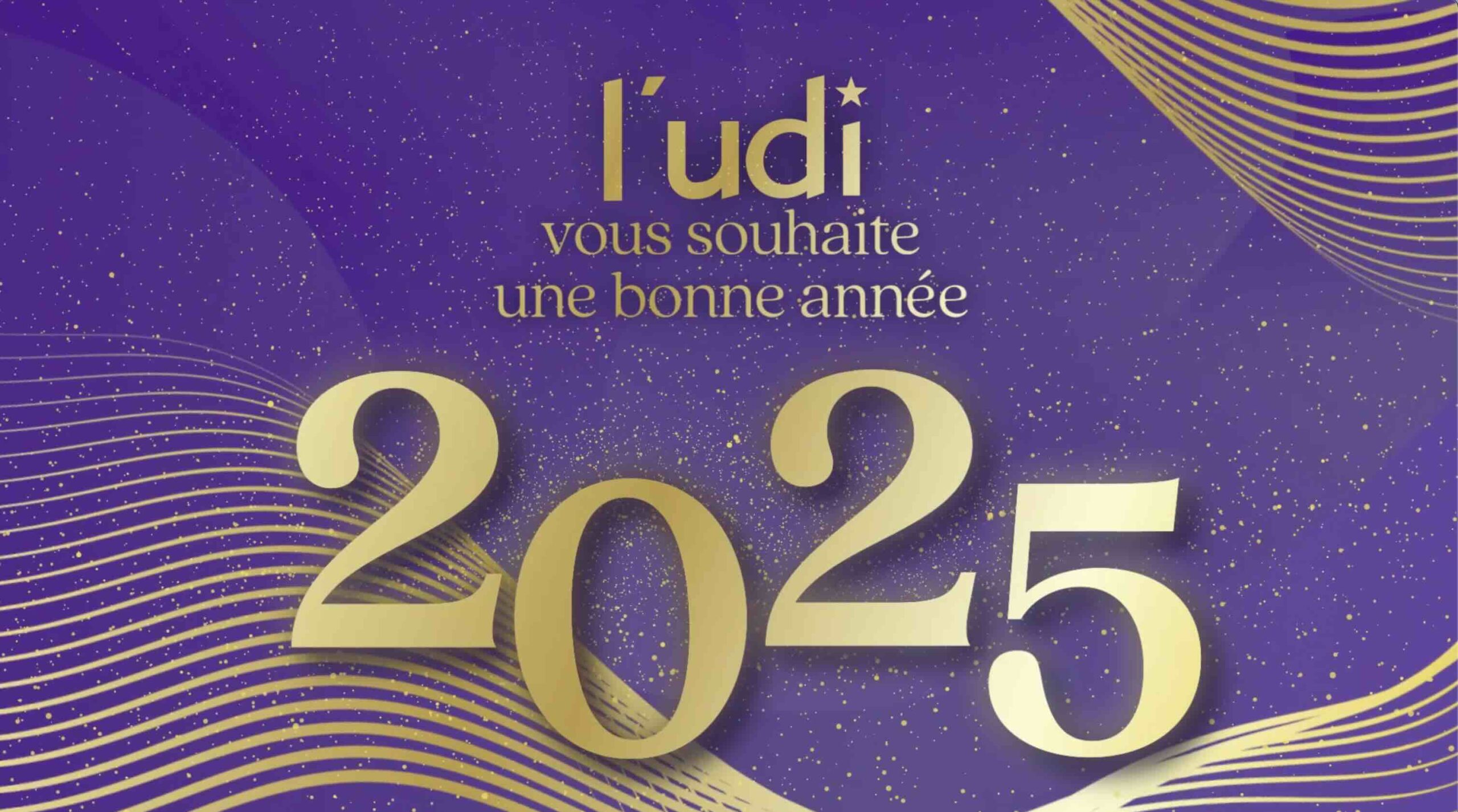 Voeux 2025 de l'UDI