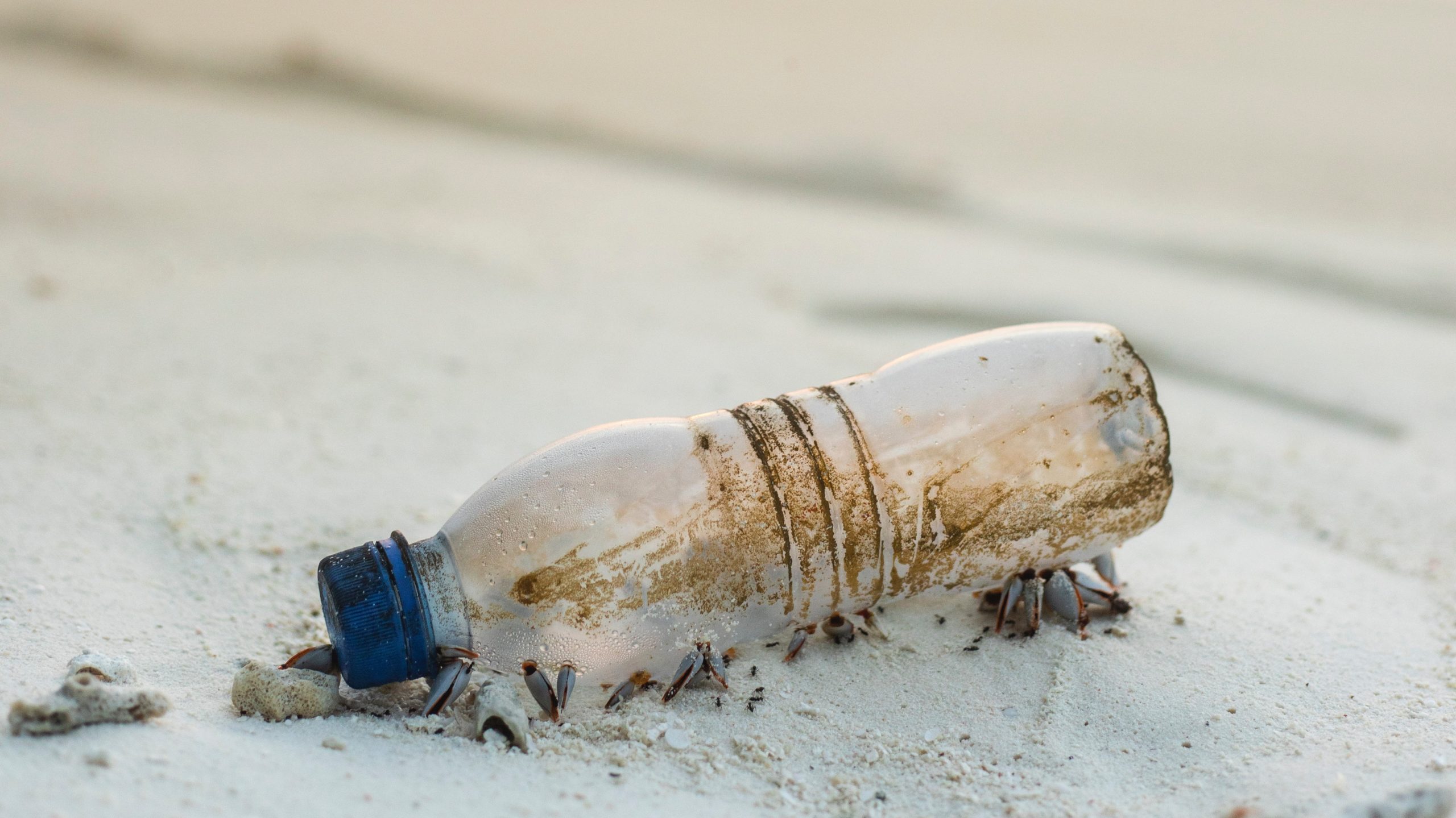 Interdiction des objets plastiques à usage unique : pas question de reculer !