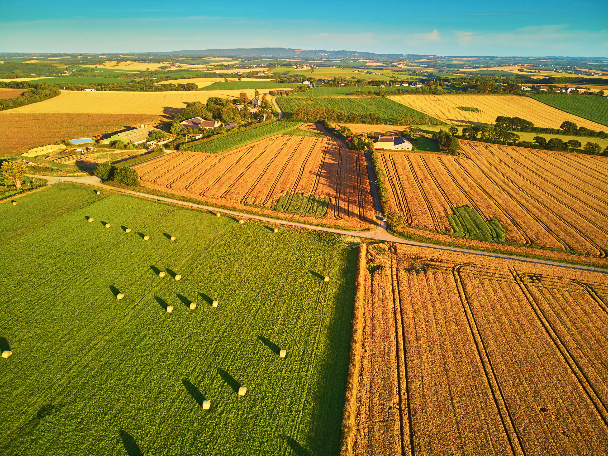 La France, l'Union européenne et notre compétitivité agricole 