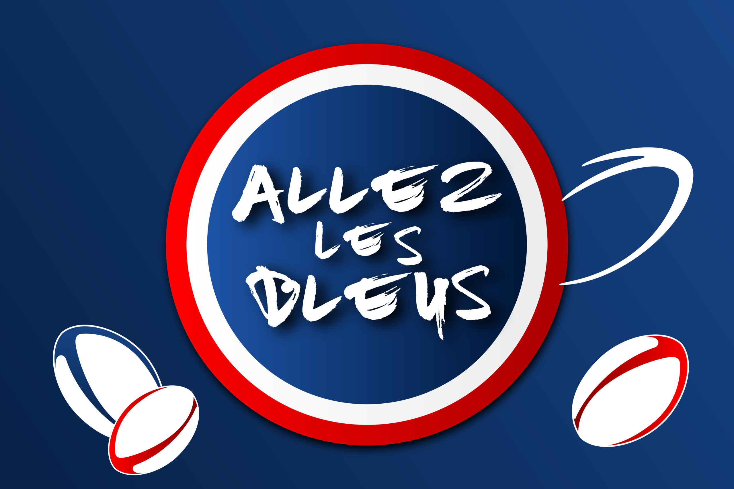 Accueil de la Coupe du monde de rugby en région Provence-Alpes-Côte d’Azur