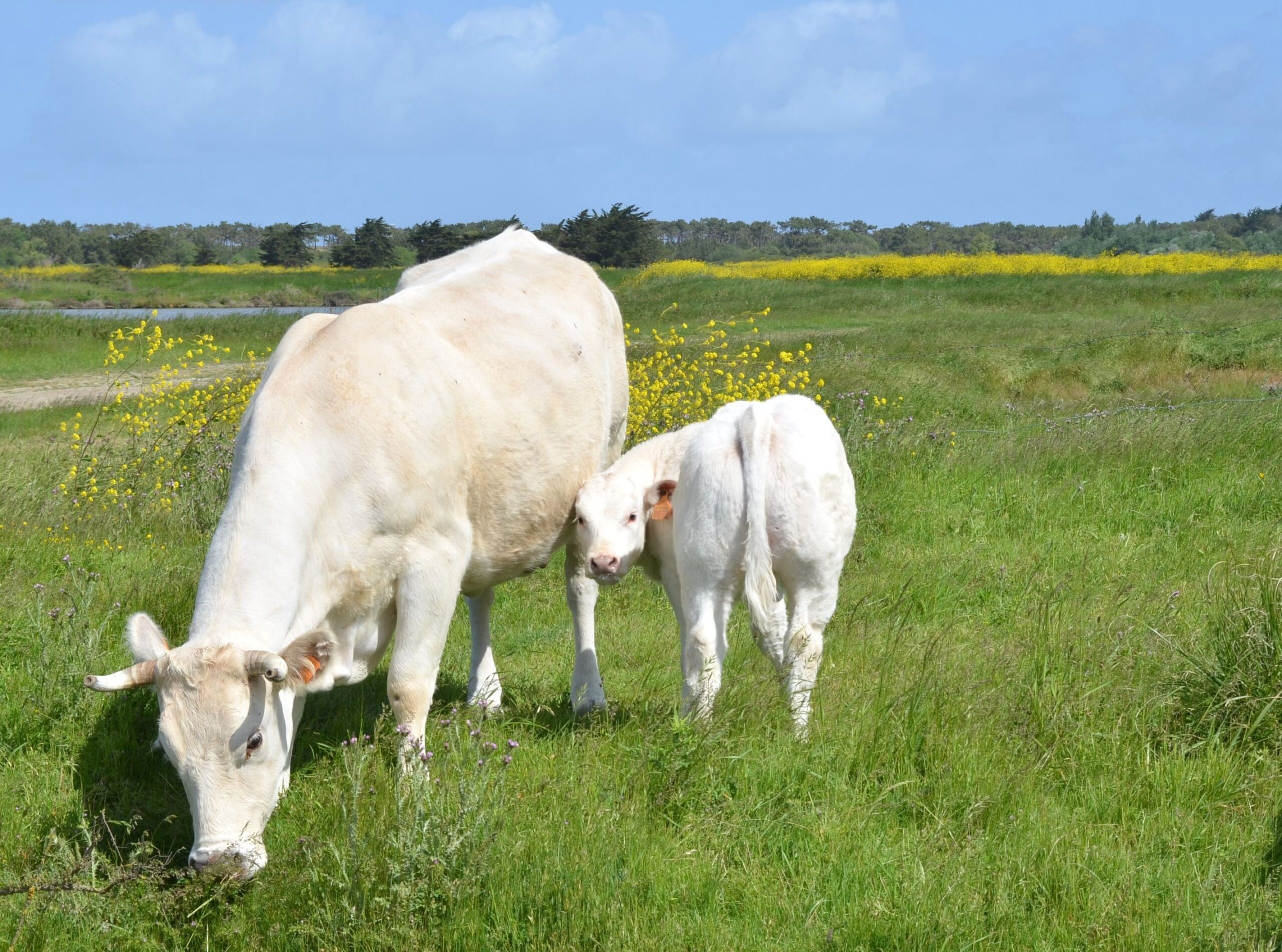 L’avenir de l’agriculture se joue au Parlement
