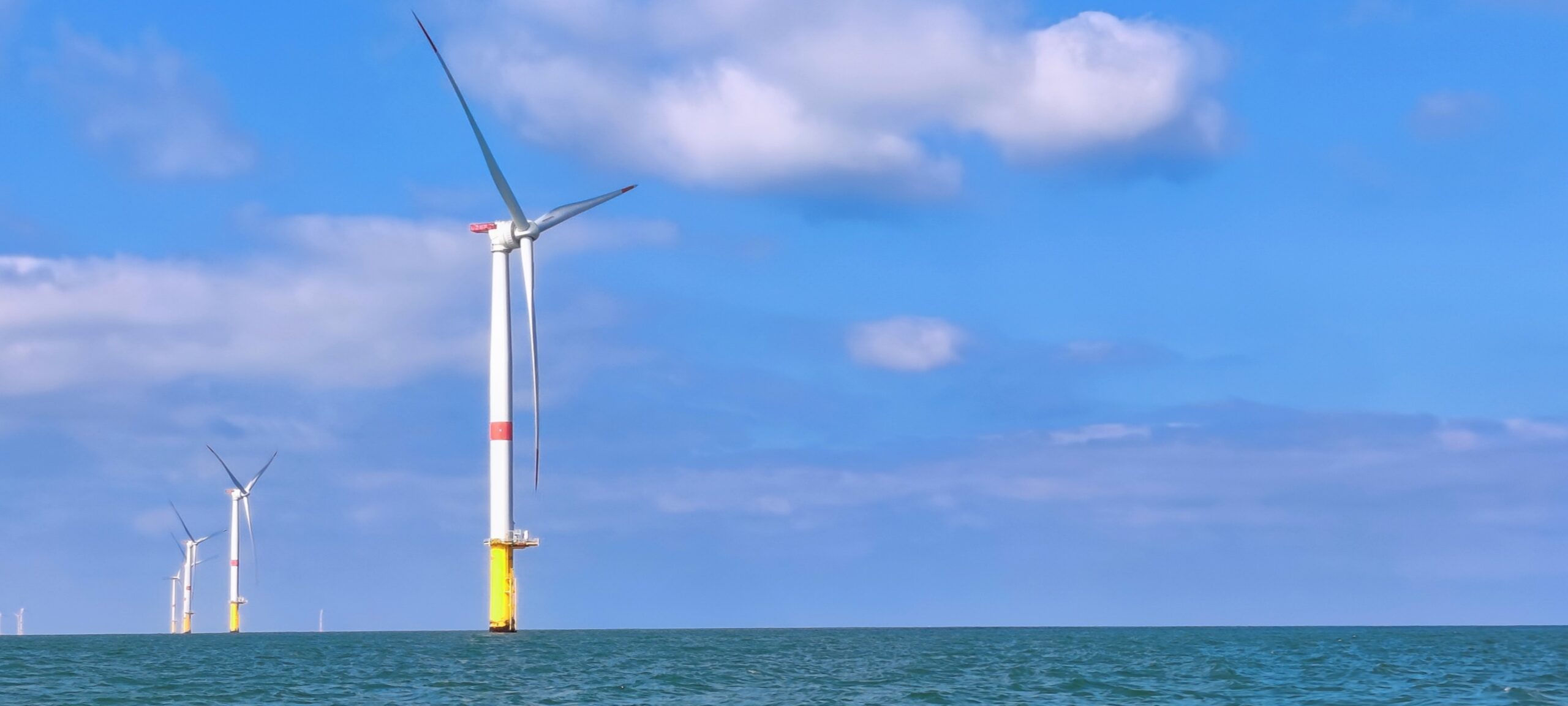 Éolien en mer : Pour un vrai développement durable alliant transition, biodiversité et pêche