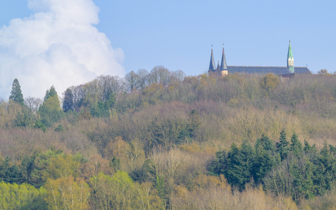 Les forêts, un bien commun à protéger