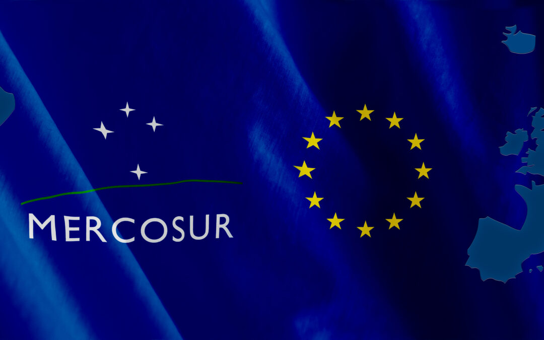 L’impact environnemental et social de l’accord UE-Mercosur