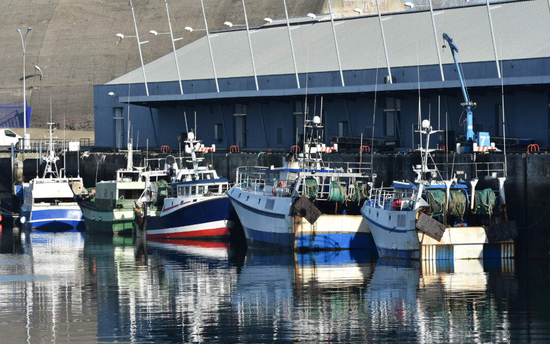 Fermeture du golfe de Gascogne : ne laissons pas notre filière pêche s’échouer